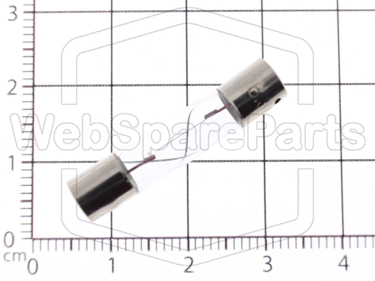 Incandescent Lamp Axial 6.3 Volts 300mA 1.9W Ø 6.3mm x 31 mm