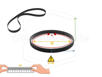 Ø 270 mm x 5.0 mm x 0.8 mm - Flat Belt  - Circumference: 848 mm