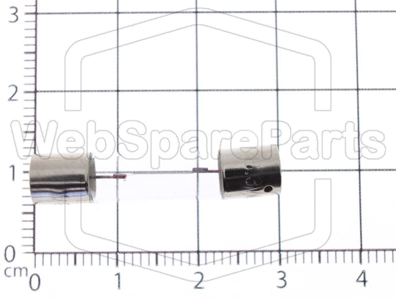 Incandescent Lamp Axial 8 Volts DC  250mA Ø 6.3 mm x 31 mm